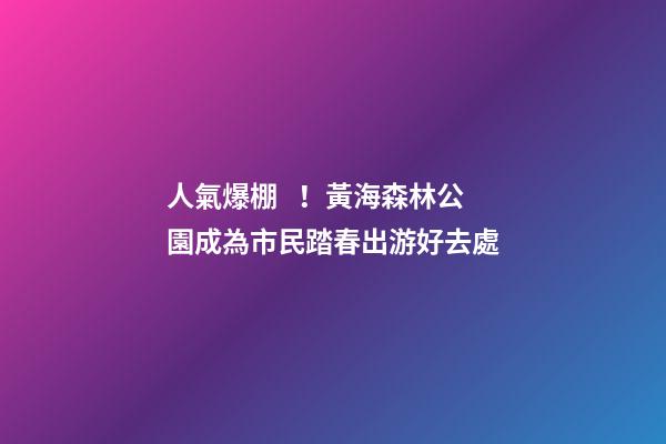 人氣爆棚！黃海森林公園成為市民踏春出游好去處